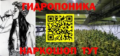 спиды Будённовск
